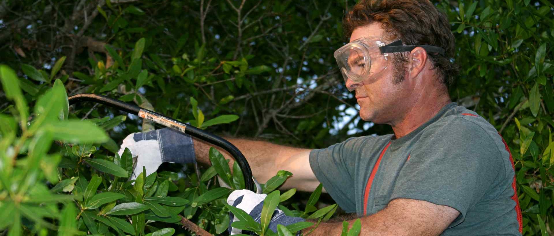 garden clearance WD25