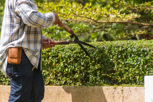 Garden Maintenance Garston, Leavesden, WD25