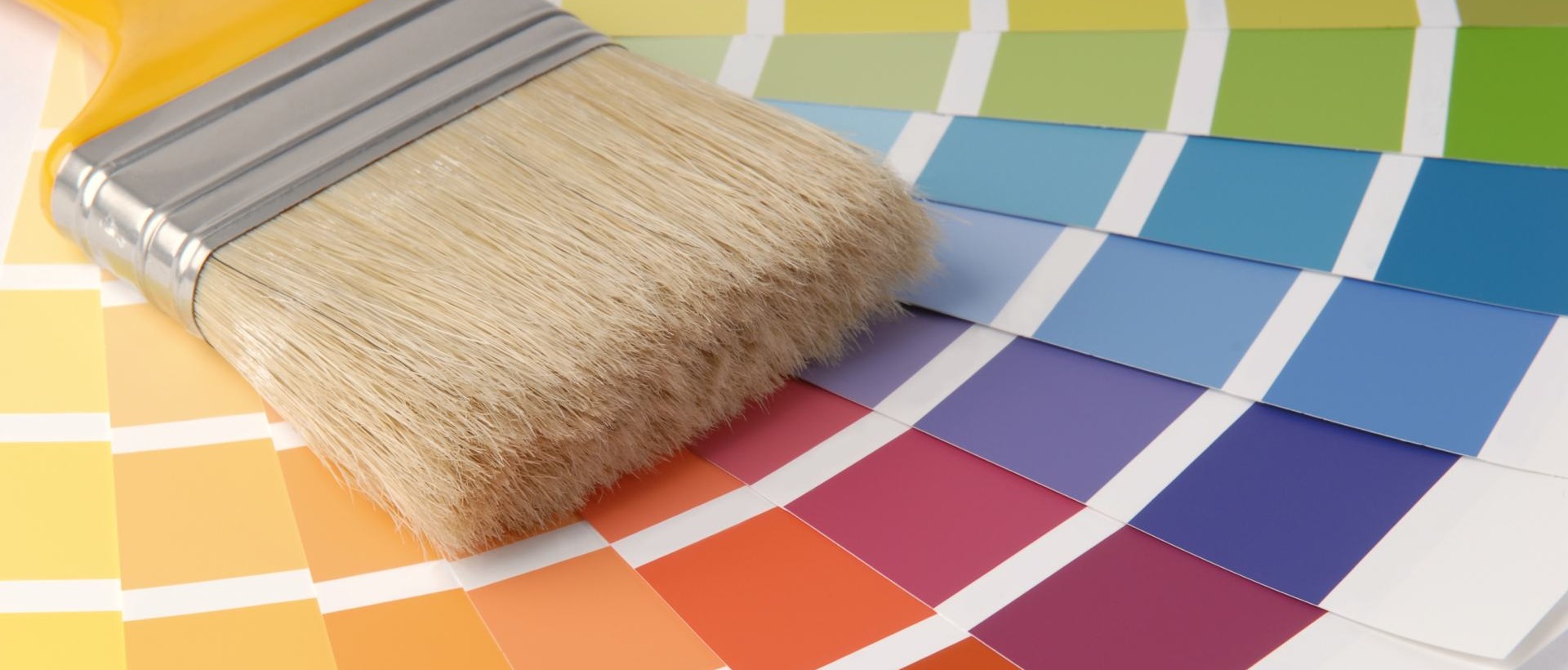 Painter WD25